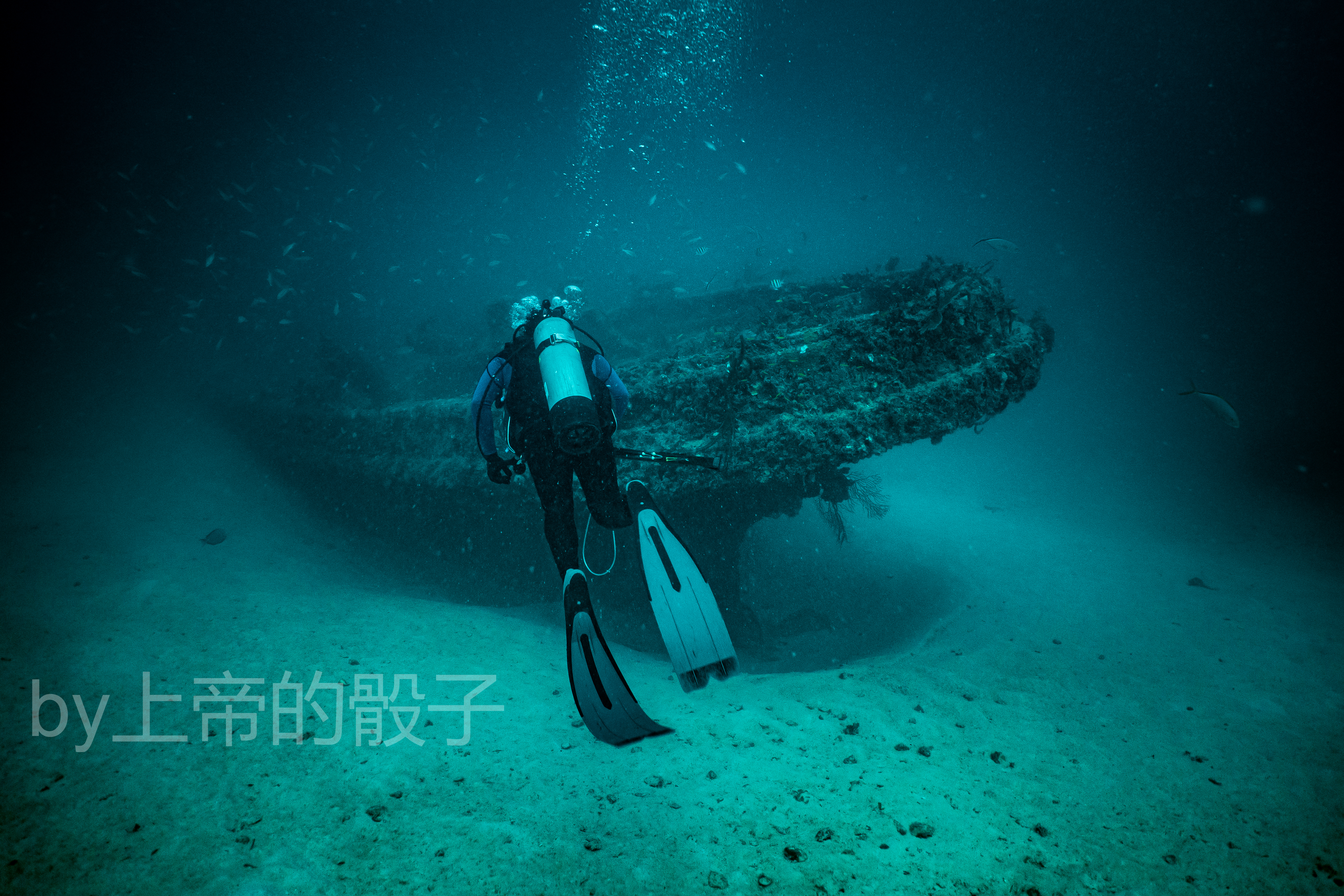 wrecks - Artificial coral reefs and ecosystems